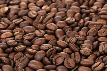 freshly roasted coffee beans closeup