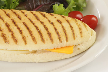 panini 24042015