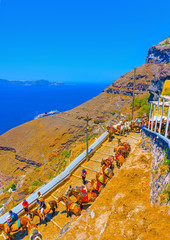 mules waiting for tourists in Fira at Santorini island in Greece