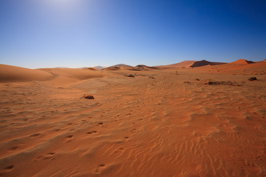 Desert panorama © elleonzebon