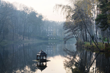 autumn trees in the pond in the park