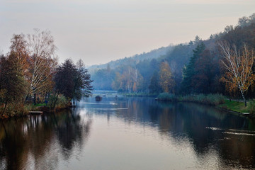 autumn trees in the pond in the park