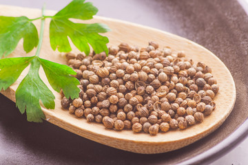 Coriander seeds on wooden spoon