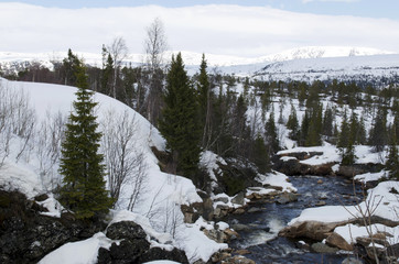 Water stream