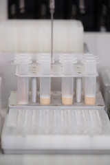 Laboratory equipment. Test tubes