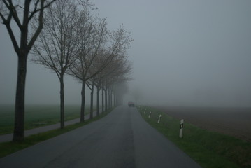 road in fog