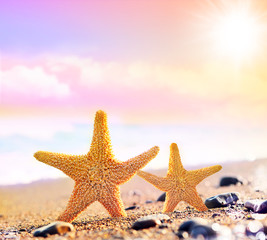Obraz na płótnie Canvas two starfish on the beach