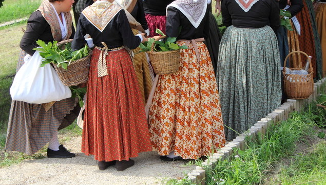 Costumes proven&ccedil;ales