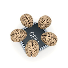 Human brain and microprocessor.