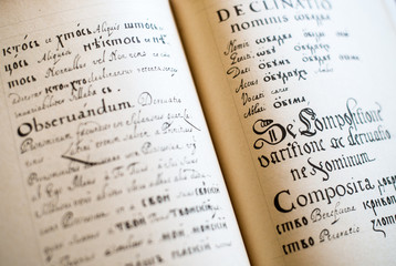 The Old Slavonic Grammar