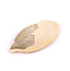 Single pumpkin seed