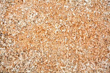 Wood sawdust