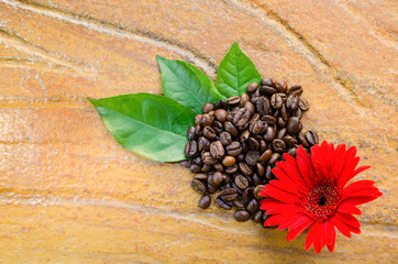 Obraz na płótnie Canvas Coffee beans with flower and leaves top view
