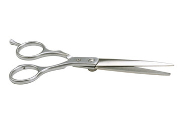 professional scissors