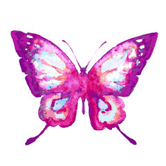 butterflies design