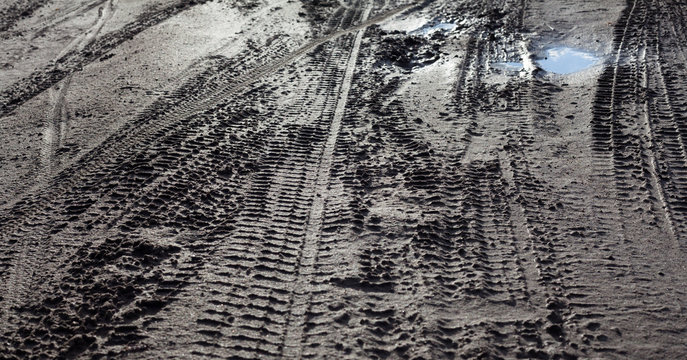 Wheel tracks on the dirt road