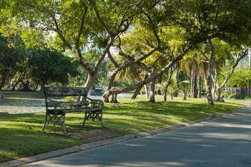 Chair in the park