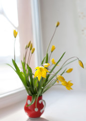 bouquet of yellow flower on a windowsill