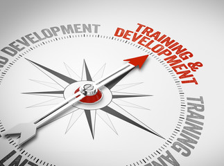 Training & Development