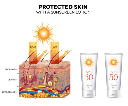 Protected skin with a sunscreen lotion