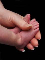 Baby Feet In Mothers Hand