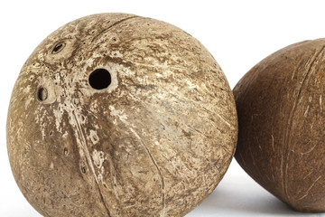Coconut shell on a white background and Coconut shell texture