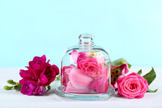 Fototapeta Beautiful composition with flowers on turquoise background