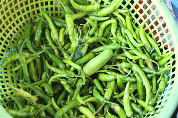 Fresh chili in the market