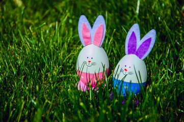 Easter bunny eggs