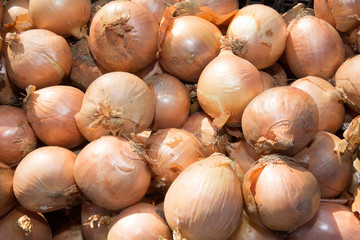 A Background of yellow fresh onion