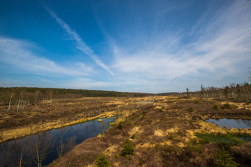 Moor, See im Naturschutzgebiet im Frühjahr in Urlaubsregion