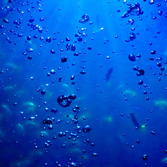 Water and air bubbles.  blue underwater