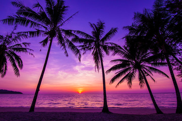 Fototapeta Palm trees silhouette at sunset obraz