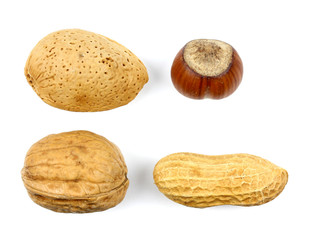 almonds hazelnuts walnuts green walnuts on a white background