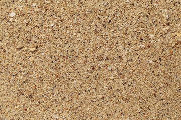 Wet sandy background.