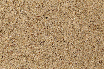 Wet sandy background.
