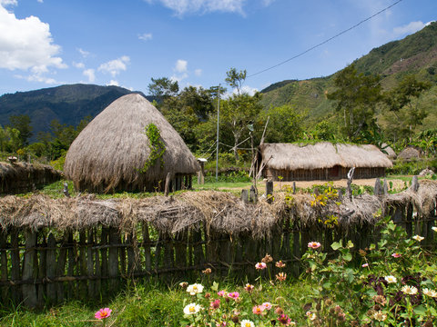 Village