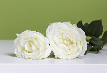 White rose on table in the bedroom