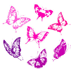 vlinders ontwerp