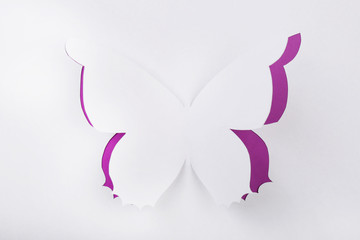 Cutout paper butterfly as greeting card