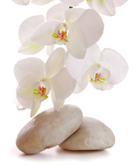 Naklejka na ściany i meble Massage Stones with Orchid.