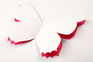 Obraz premium Cutout paper butterfly as greeting card