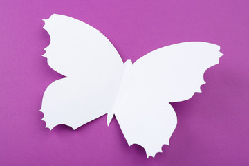 Cutout paper butterfly as greeting card