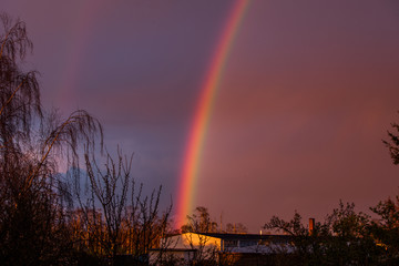 Regenbogen