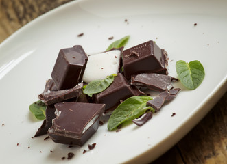 dark chocolate and fresh mint, selective focus