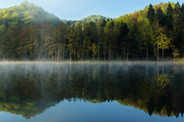 Fototapeta na wymiar Forest reflecting in water on Tracoscan lake in Zagorje, Croatia