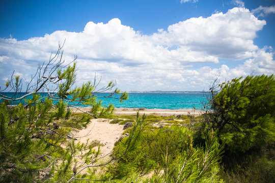 wild coast of Sardinia