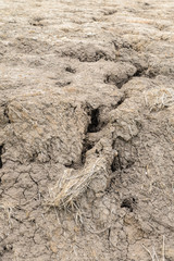 dry soil cracked earth texture