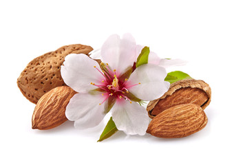 Almonds with flowers