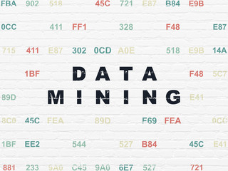 Information concept: Data Mining on wall background